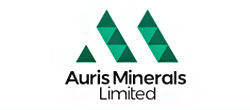 Auris Minerals Limited (AUR:ASX) logo