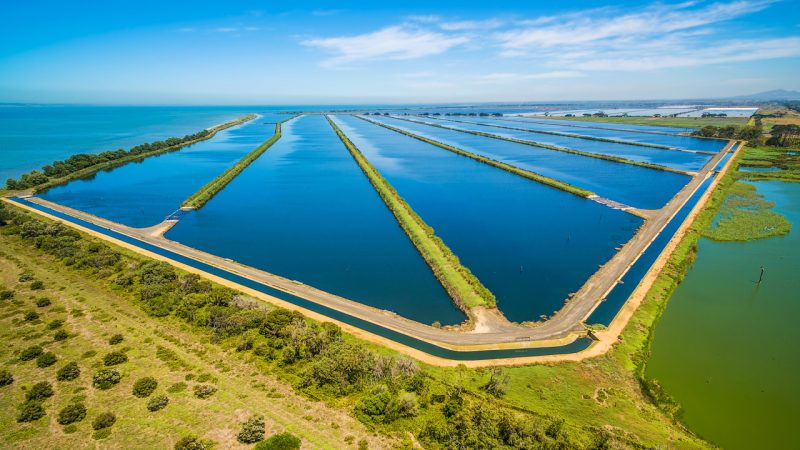 Synertec Corp awarded 2-year contract with Melbourne Water