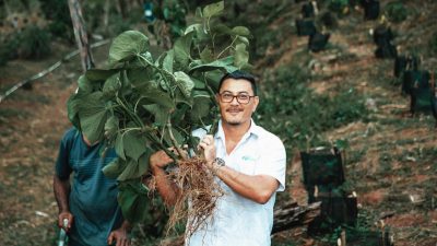 Fiji Kava (ASX:FIJ) - Founder and Director, Zane Yoshida