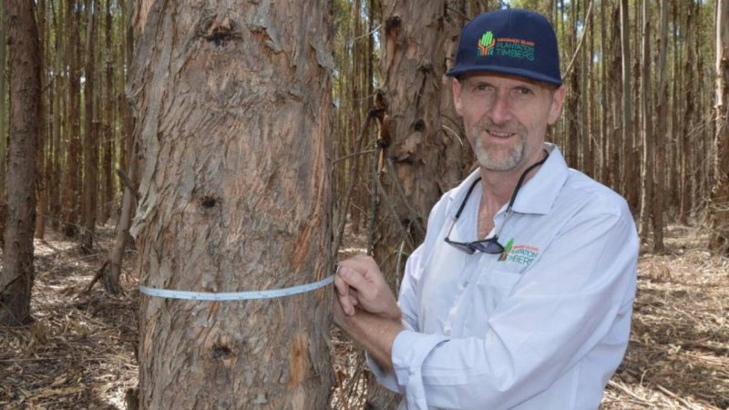 Kangaroo Island Plantation Timbers (ASX:KPT) - Outgoing Managing Director, Keith Lamb