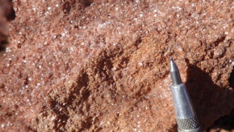 Mica dominant greisen from the Wilsons Prospect outcrops (pen for scale).