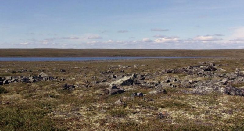 Colossus REE Project