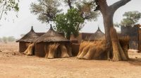 Africa village huts