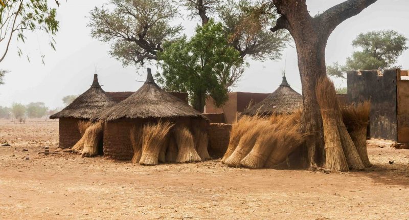 Africa village huts