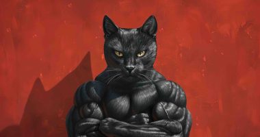 Black Cat concept