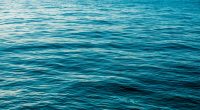 Deep Blue and Calm Sea Surface Nature Background