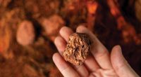 Man's hand holding a piece of copper to examine it for industrial use