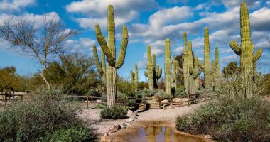 Arizona Landscape USA Arizona