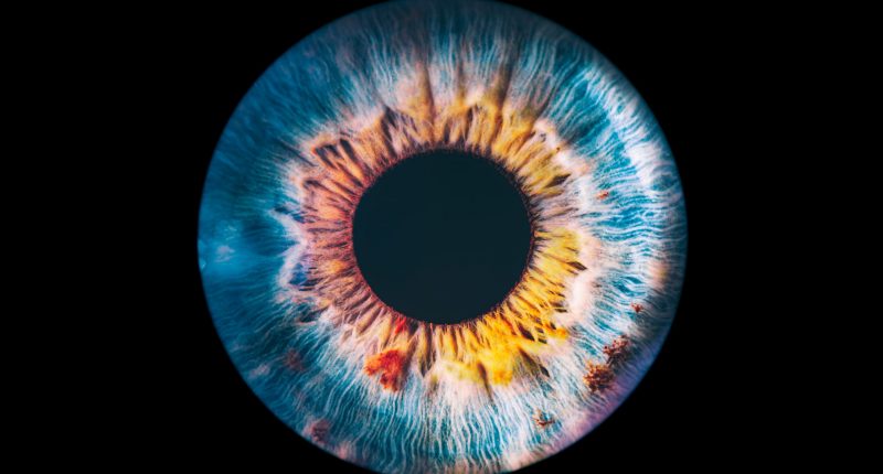 Image of an eye