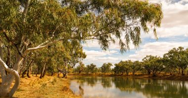 Image of Mt Isa creek