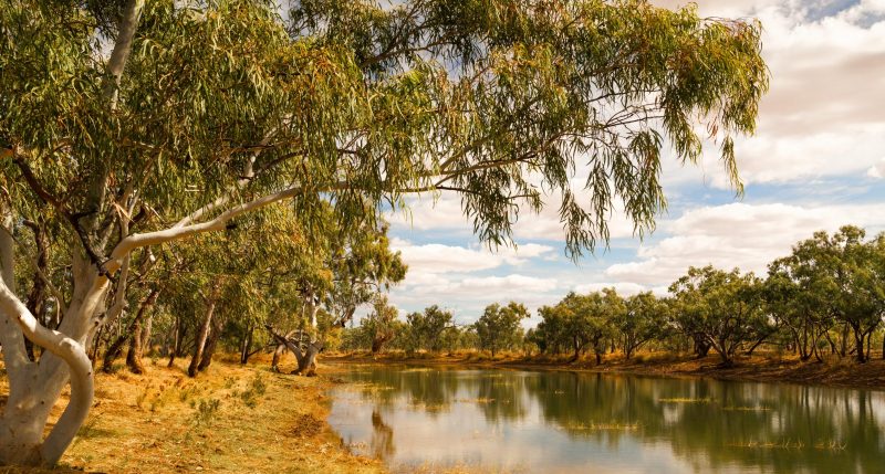 Image of Mt Isa creek