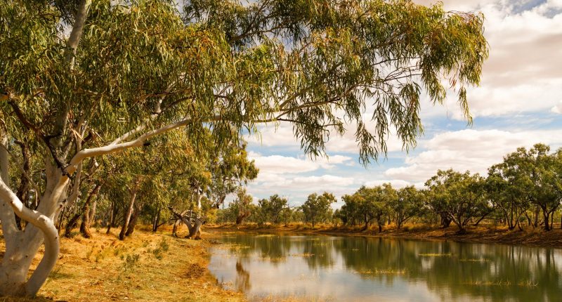 Image of Mt Isa creek