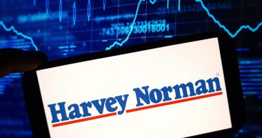 Harvey Norman logo