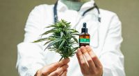 Medical cannabis concept