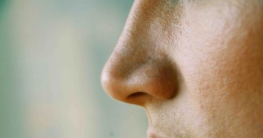 A human nose