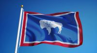 Wyoming (U.S. state) flag waving against clear blue sky.