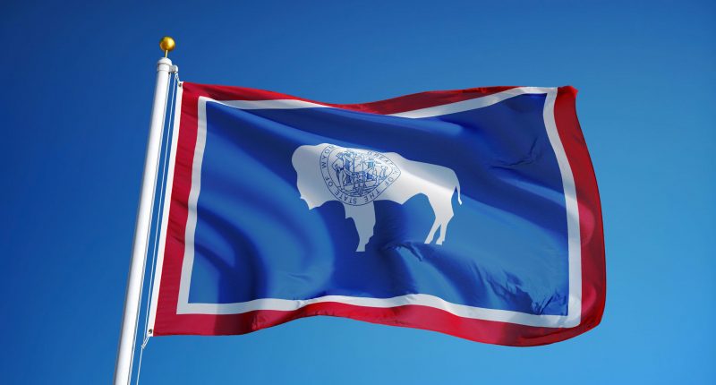 Wyoming (U.S. state) flag waving against clear blue sky.