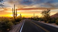 Arizona desert landscape