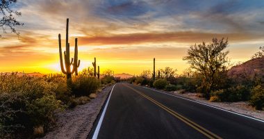 Arizona desert landscape