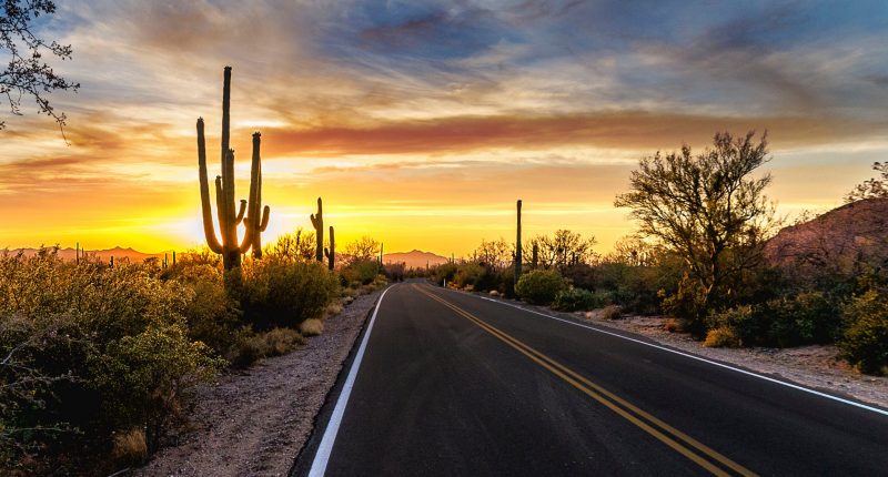 Arizona desert landscape