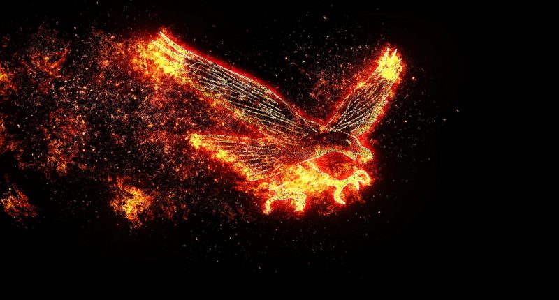 Artwork of a bird surrounded by flames