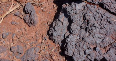 Image of manganese ore outcrop