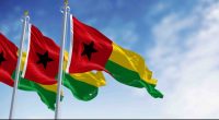 Guinea flags