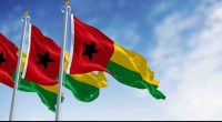 Guinea flags