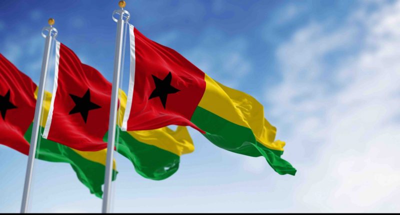 Guinea flags