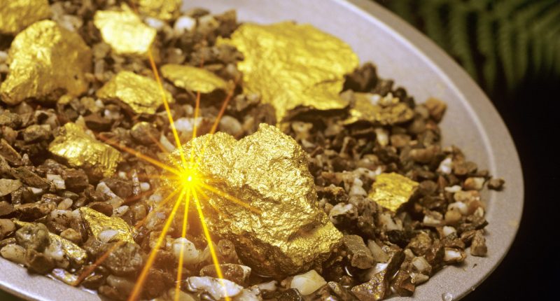 Image of gold prospecting