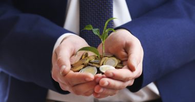 A handful of coins with a sprouting plant