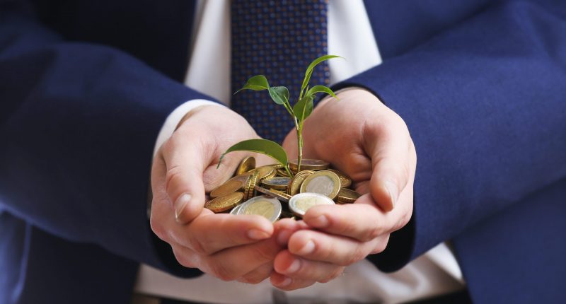 A handful of coins with a sprouting plant