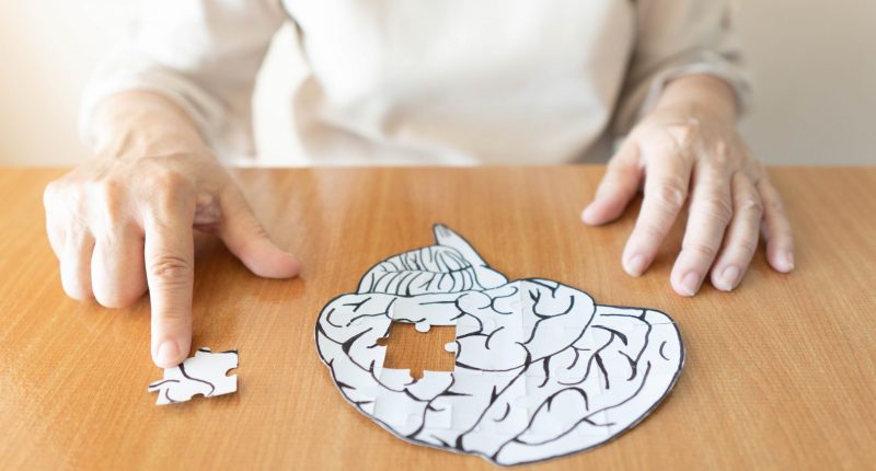 Elderly woman with a jigsaw puzzle representing the brain