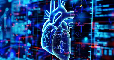 Medical imaging of the human heart