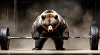 Image of bear lifting weights