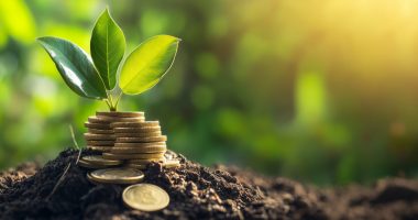 Image of a plant beside a pile of coins