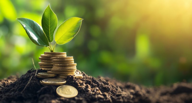 Image of a plant beside a pile of coins