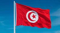 Tunisia flag AI gen