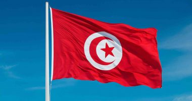 Tunisia flag AI gen