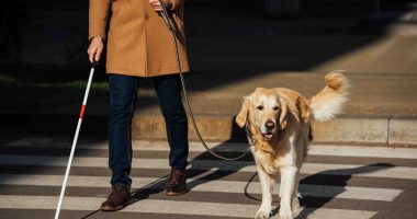 Blind person with guide dog