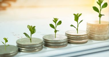 Coins with plants growing from them