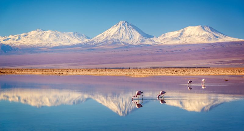 Andes mountains and Chilean landscape