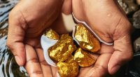 Image of a person holding gold nuggets