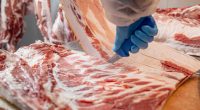 Beef processing butcher