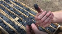 A hand holding graphite from a farm.