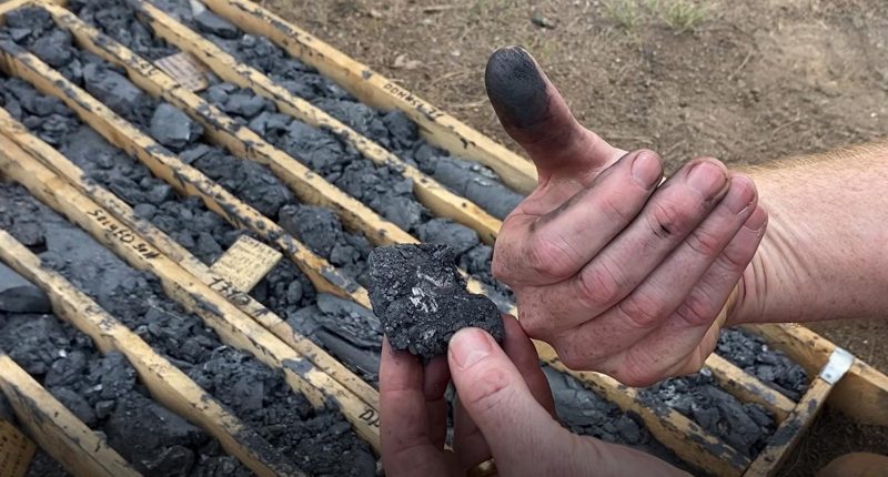 A hand holding graphite from a farm.