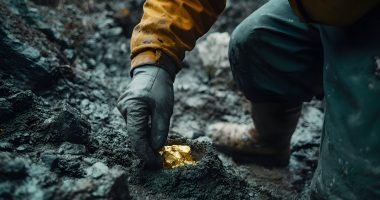 A miner examining gold core