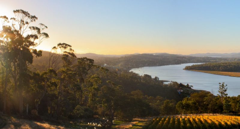 Panorama in Tasmania