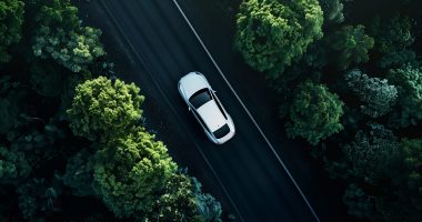 Car on the road between two hedges