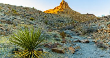 Park Peak in Nevada